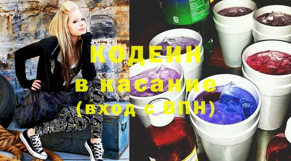 мдпв Бородино